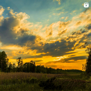 Chronicles-of-the-Mystic