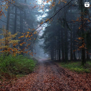 A-Mystic-(An-Enigma-Unveiled)